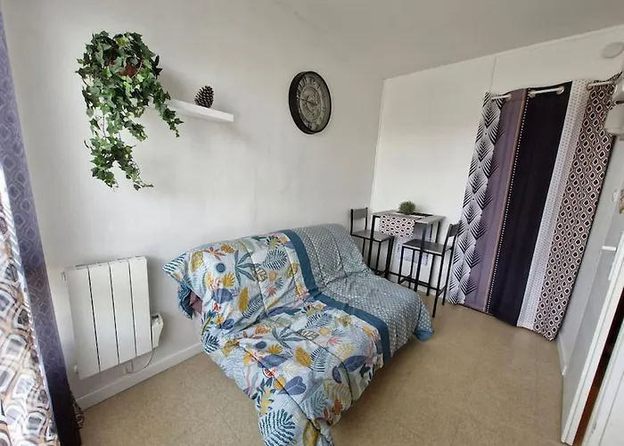 Studio - Marina 5 - 31 Allee Des Pignons - 4-1